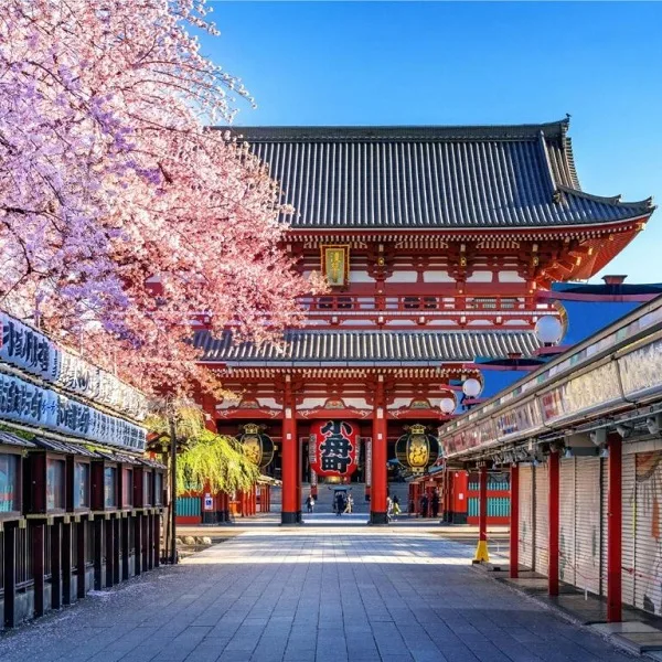 围绕及时更新游戏动态，洞悉行业前沿。，亚星官网持续打磨更优质的服务。 - 亚星官网