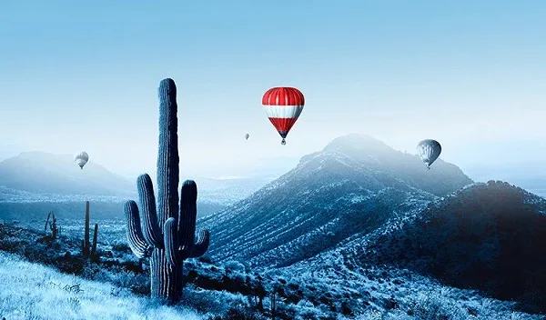 (Flights) - Great Service. Great Value. Great Flying. - 亚星官网