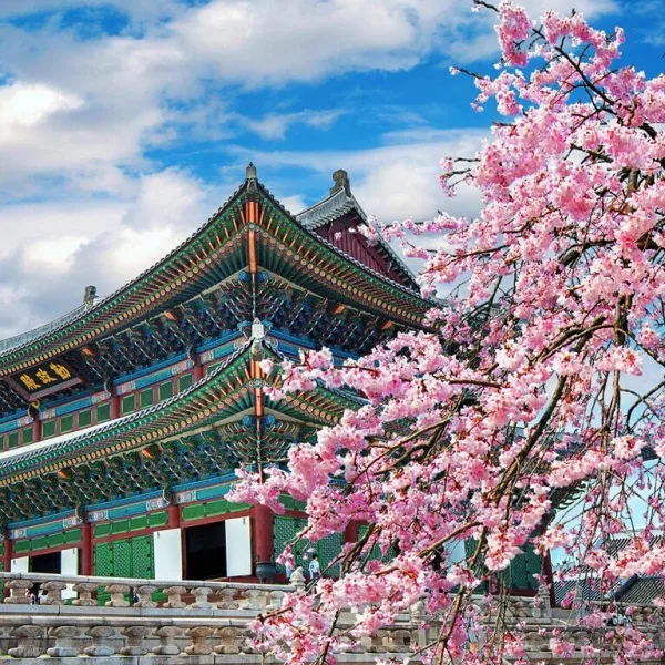 (Tours) - Elevate Your Travel Experience - 亚星官网